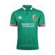 Maglia British Irish Lions 2017 Allenamento Verde