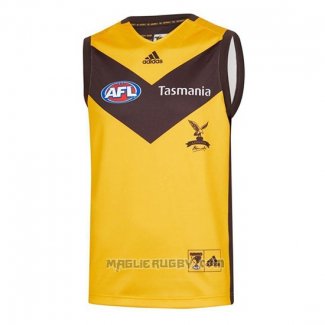 Maglia Hawthorn Hawks AFL 2020 Away